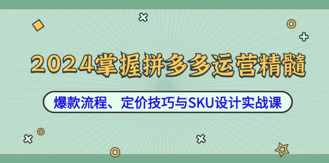 2024掌握拼多多运营精髓：爆款流程、定价技巧与SKU设计实战课-七量思维