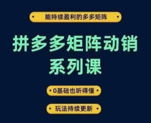 拼多多矩阵动销系列课,能持续盈利的多多矩阵,0基础也听得懂,玩法持续更新-七量思维