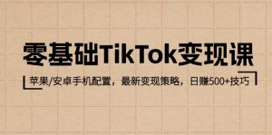 （12723期）零基础TikTok变现课：苹果/安卓手机配置，最新变现策略，日赚500+技巧-七量思维