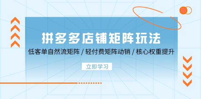 拼多多店铺矩阵玩法：低客单自然流矩阵 / 轻付费矩阵 动销 / 核心权重提升-七量思维