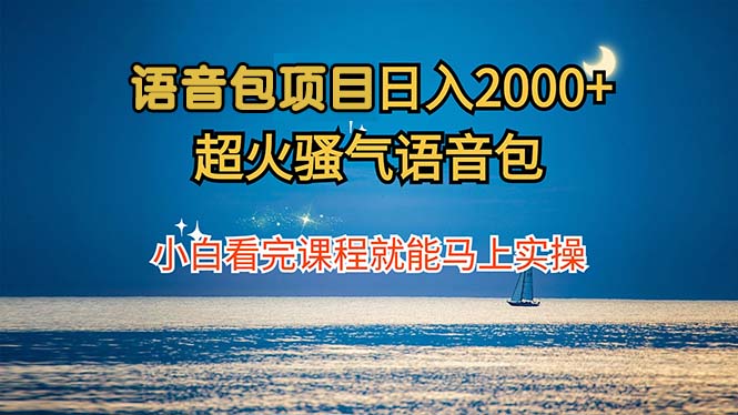 （12734期）语音包项目 日入2000+ 超火骚气语音包小白看完课程就能马上实操-七量思维