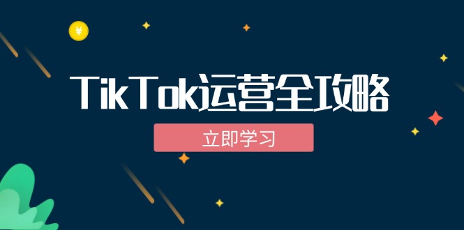 （12739期）TikTok实战运营全攻略：从下载软件到变现，抖音海外版实操教程-七量思维