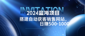 (12743期)2024蓝海项目,搭建销售网站,自动获客,日赚500-1000-七量思维