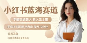 小红书蓝海赛道,圈中高端职场人,月入无上限,可矩阵,内含私域实操教程!-七量思维