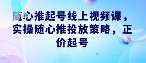 随心推起号线上视频课,实操随心推投放策略,正价起号-七量思维