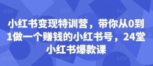 小红书变现特训营,带你从0到1做一个赚钱的小红书号,24堂小红书爆款课-七量思维