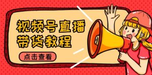 视频号直播带货教程：选品思路与话术拆解/掌握多种带货套路/提升直播效果-七量思维