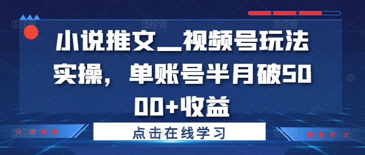 小说推文—视频号玩法实操，单账号半月破5000+收益-七量思维