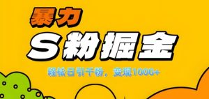 单人单机日引千粉，变现1k+，S粉流量掘金计划攻略-七量思维