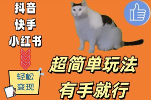 超简单玩法，有手就行，靠猫咪视频日入500+-七量思维