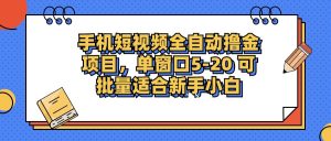 (12898期)手机短视频掘金项目,单窗口单平台5-20 可批量适合新手小白-七量思维
