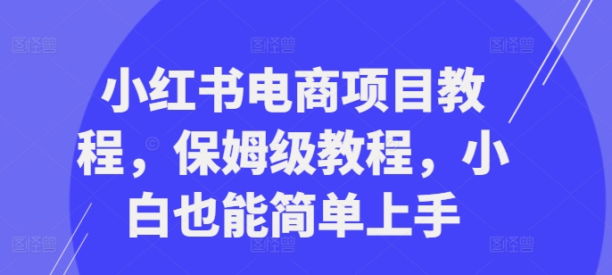 小红书电商项目教程，保姆级教程，小白也能简单上手-七量思维