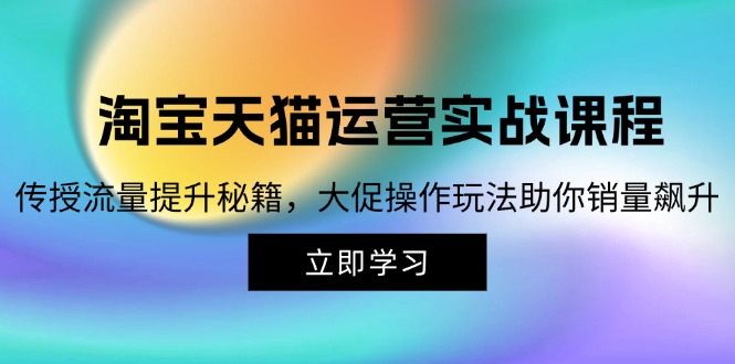 （12959期）淘宝&天猫运营实战课程，传授流量提升秘籍，大促操作玩法助你销量飙升-七量思维