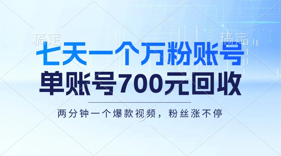 （13062期）七天一个万粉账号，新手小白秒上手，单账号回收700元，轻松月入三万＋-七量思维