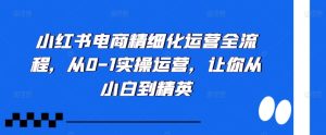 小红书电商精细化运营全流程,从0-1实操运营,让你从小白到精英-七量思维