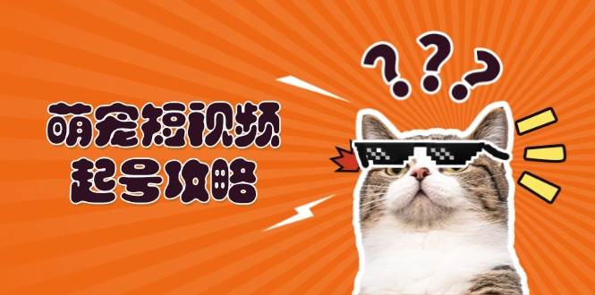 萌宠短视频起号攻略：定位搭建推流全解析，助力新手轻松打造爆款-七量思维