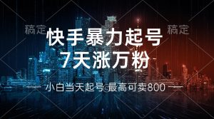 (13142期)快手暴力起号,7天涨万粉,小白当天起号 多种变现方式,账号回收,单月…-七量思维
