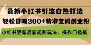 (13145期)最新小红书引流自热打法,轻松日吸300+精准宝妈创业粉,小红书更新后新…-七量思维