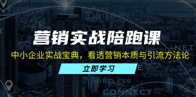 （13146期）营销实战陪跑课：中小企业实战宝典，看透营销本质与引流方法论-七量思维