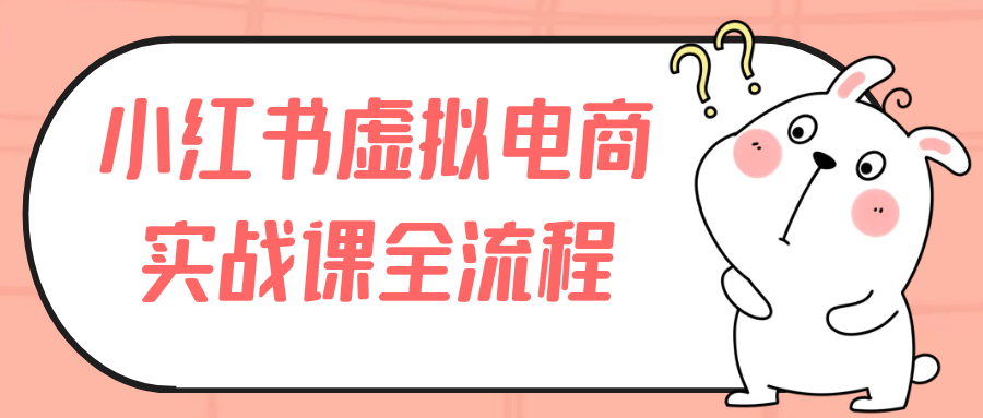 小红书虚拟电商实战课全流程-七量思维