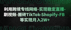 利用跨境专线网络-实现稳定直播-刷视频-搬砖TikTok-Shopify-FB等实现月入2W+-七量思维