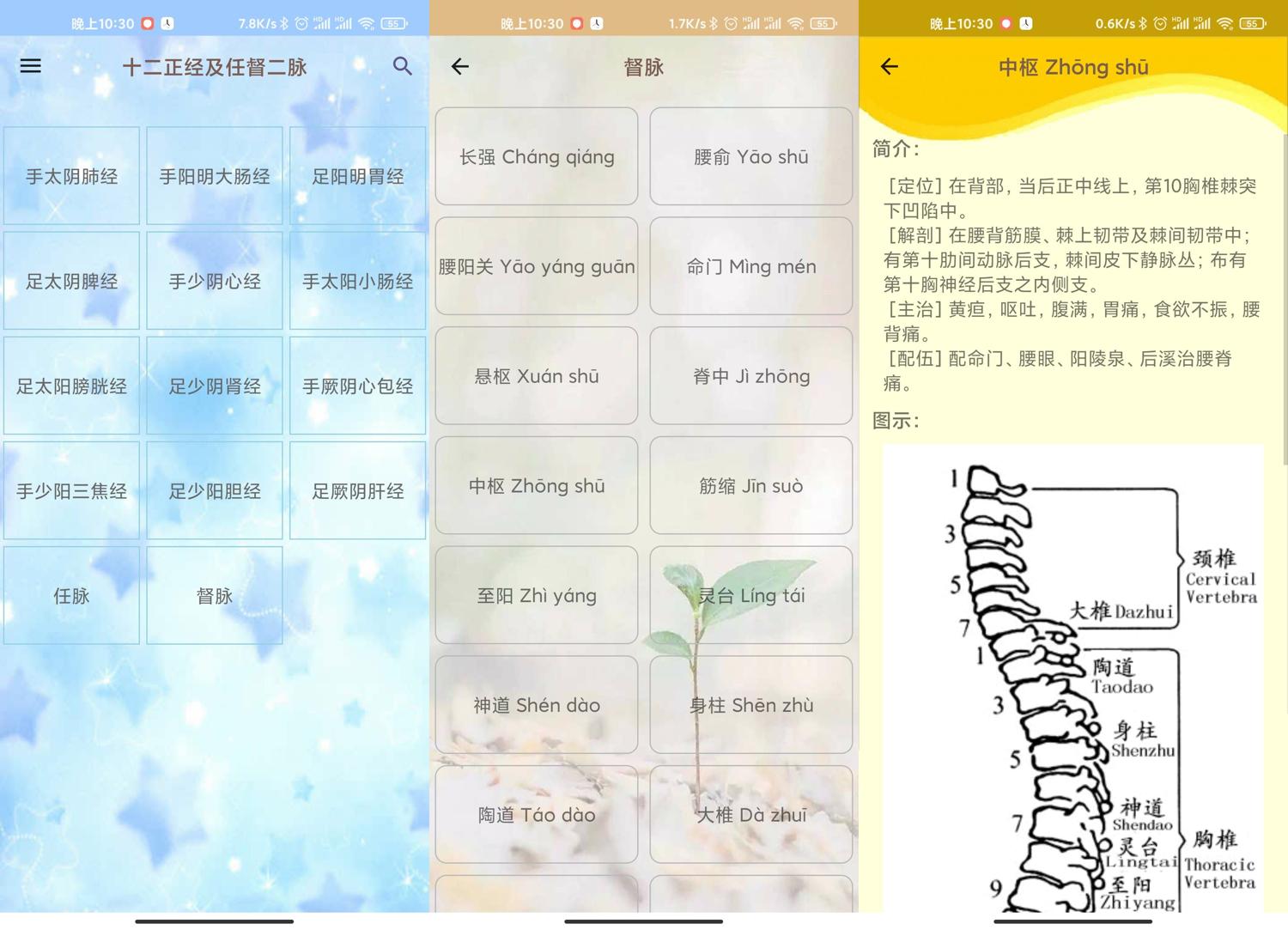 安卓人体穴位图解v3.1.4可离线版-七量思维