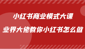 小红书商业模式大课，业界大佬教你小红书怎么做【视频课】-七量思维