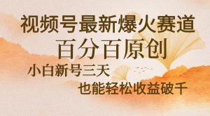 (13225期)视频号最新爆火赛道,中老年粉深信不疑,百分百原创,新号三天收益轻松…-七量思维