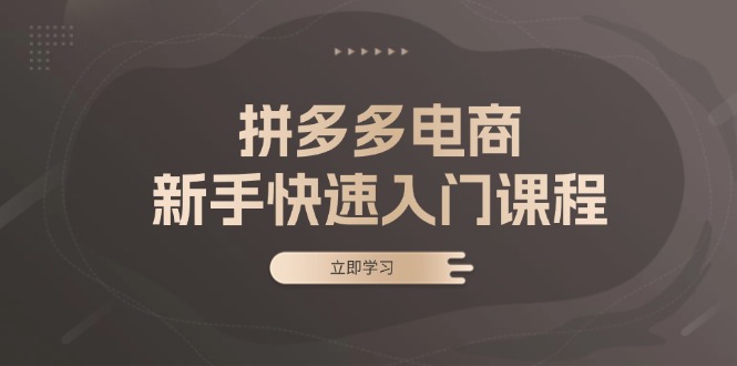 （13289期）拼多多电商新手快速入门课程：涵盖基础、实战与选款，助力小白轻松上手-七量思维