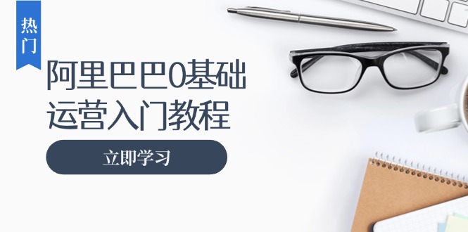 （13291期）阿里巴巴运营零基础入门教程：涵盖开店、运营、推广，快速成为电商高手-七量思维