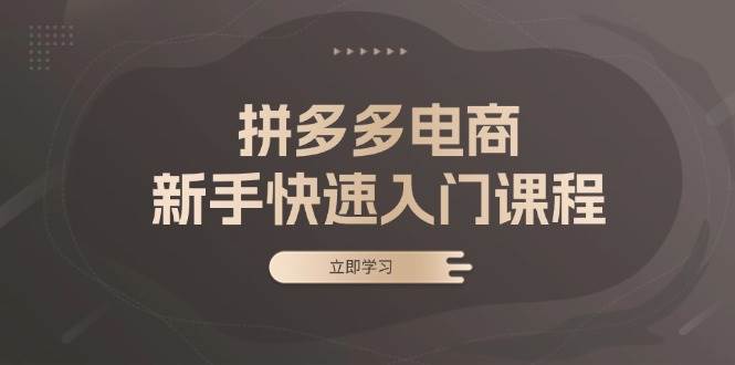 拼多多电商新手快速入门课程：涵盖基础、实战与选款，助力小白轻松上手-七量思维