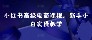小红书高级电商课程,新手小白实操教学-七量思维