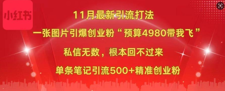 小红书11月最新图片打粉，一张图片引爆创业粉，“预算4980带我飞”，单条引流500+精准创业粉-七量思维