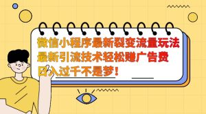 微信小程序最新裂变流量玩法，时间自由收益高轻松赚广告费，日入过千不是梦！-七量思维