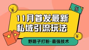 11月首发最新私域引流玩法,自动克隆爆款一键改写截流自热一体化 日引300+精准粉-七量思维