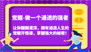 认知觉醒,让你醍醐灌顶拥有通透人生,掌握强大的秘密!觉醒开悟课(更新)-七量思维