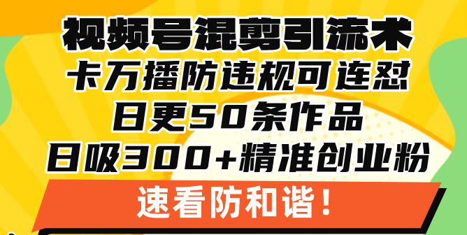 （13400期）视频号混剪引流技术，500万播放引流17000创业粉，操作简单当天学会-七量思维