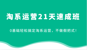 淘系运营21天速成班,0基础轻松搞定淘系运营,不做假把式!-七量思维