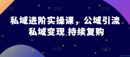 私域进阶实操课，公域引流 私域变现 持续复购-七量思维