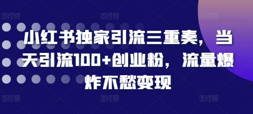 小红书独家引流三重奏，当天引流100+创业粉，流量爆炸不愁变现-七量思维