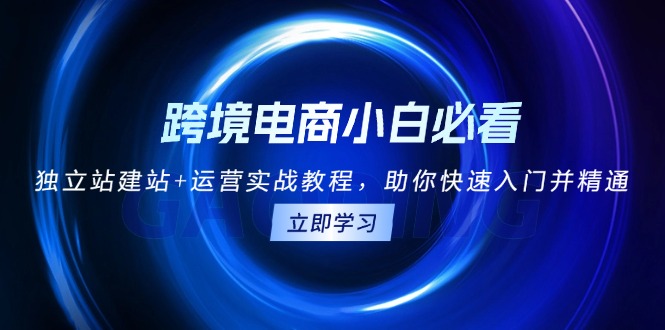 （13503期）跨境电商小白必看！独立站建站+运营实战教程，助你快速入门并精通-七量思维