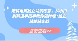 跨境电商独立站训练营,从小白到精通手把手教你做跨境+独立站建站实战-七量思维