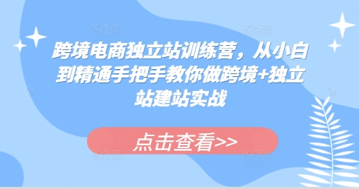 跨境电商独立站训练营，从小白到精通手把手教你做跨境+独立站建站实战-七量思维