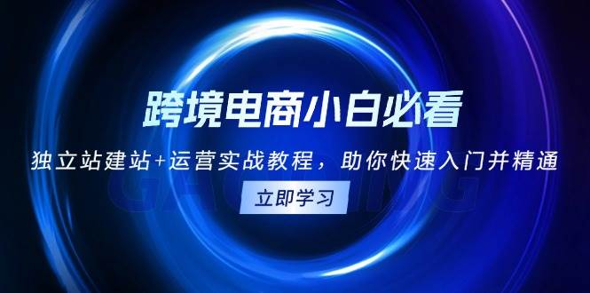 跨境电商小白必看！独立站建站+运营实战教程，助你快速入门并精通-七量思维