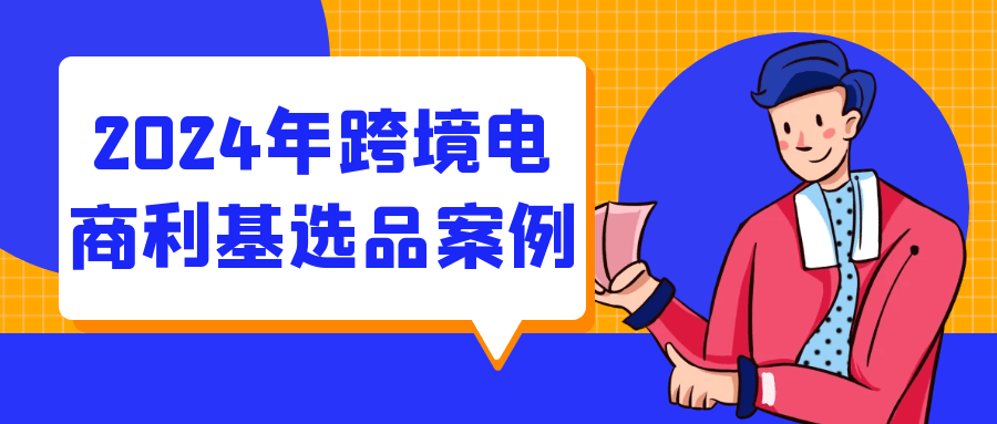 2024年跨境电商利基选品案例-七量思维