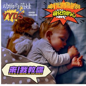 AI制作动物与萌娃互动视频,瞬间萌化你的心,粉丝大米一起收货!-七量思维