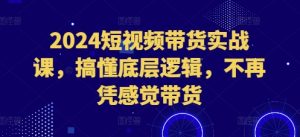 2024短视频带货实战课，搞懂底层逻辑，不再凭感觉带货-七量思维