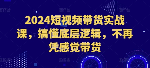 2024短视频带货实战课，搞懂底层逻辑，不再凭感觉带货-七量思维