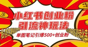 小红书创业粉引流神玩法，单图笔记引爆500+精准创业粉丝，私信狂潮接连不断-七量思维