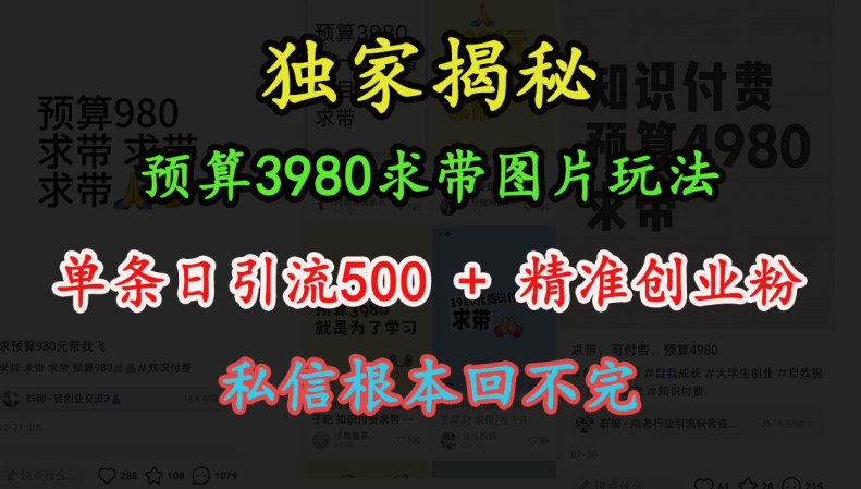 预算3980求带 图片玩法，单条日引流500+精准创业粉，私信根本回不完-七量思维